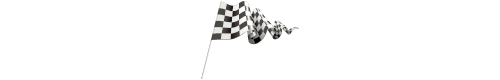 Checkered Flag H80 L500